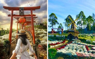Tempat Wisata di Bali Terbaru yang Instagrammable Abis